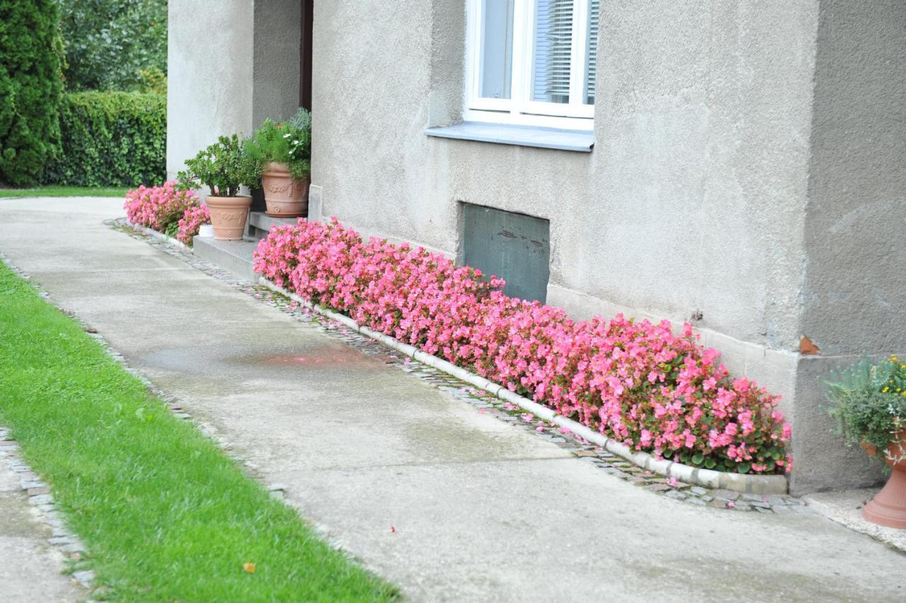 Studio Apartman D&D Varazdin Luaran gambar